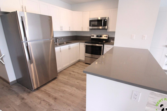 LARGE 2 BEDROOM APARTMENT-PARKDALE ESTATES in Long Term Rentals in Thunder Bay - Image 4