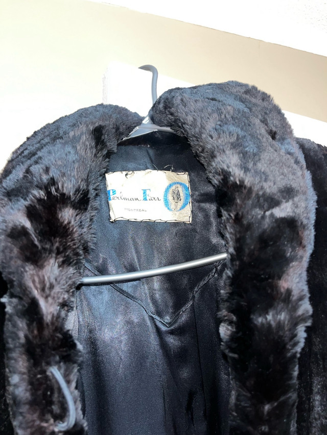 Rare vintage Alaskan seal fur coat  in Women's - Tops & Outerwear in St. John's - Image 4