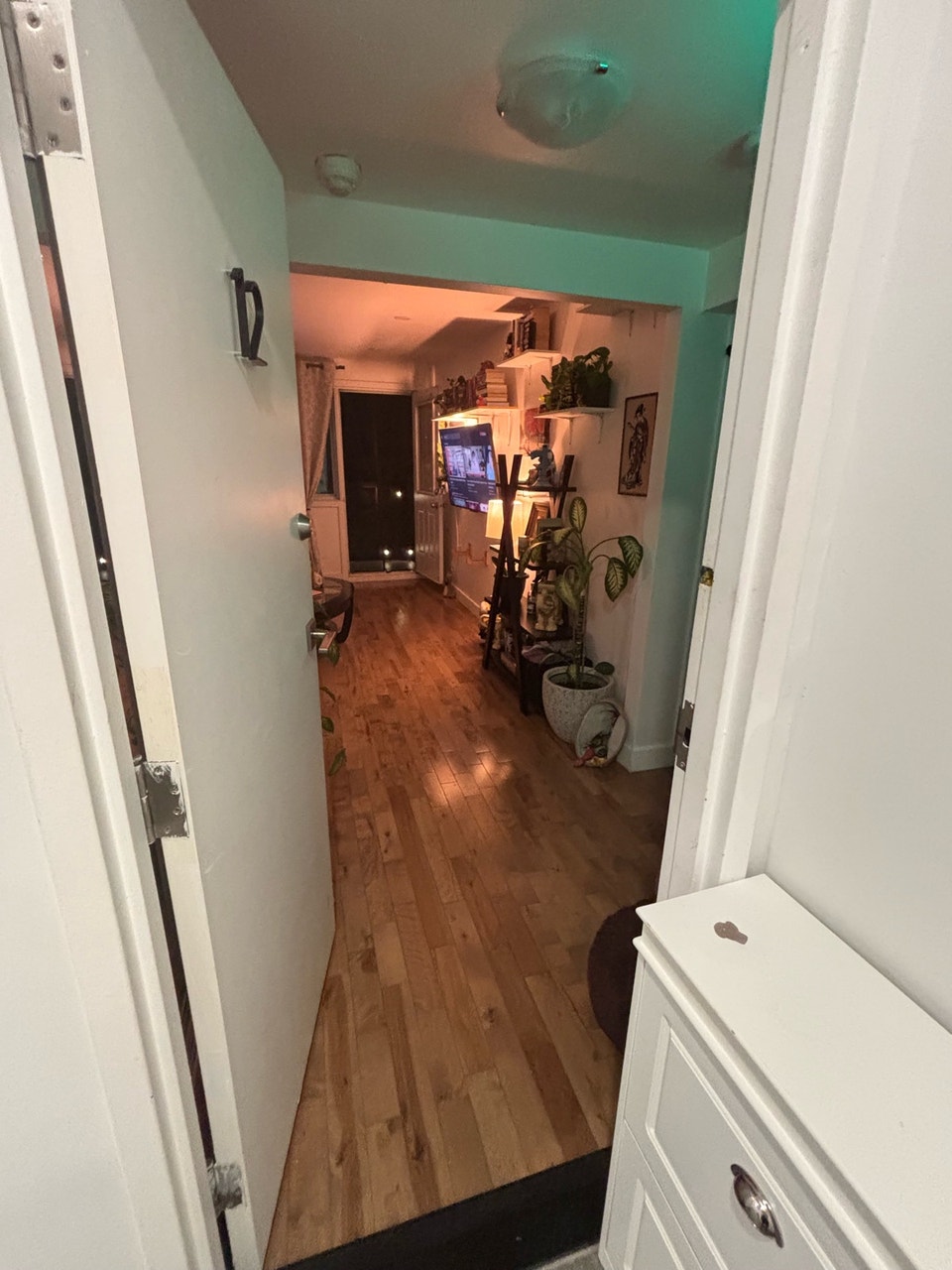 3 1/2 Apartment Lease Transfer 2