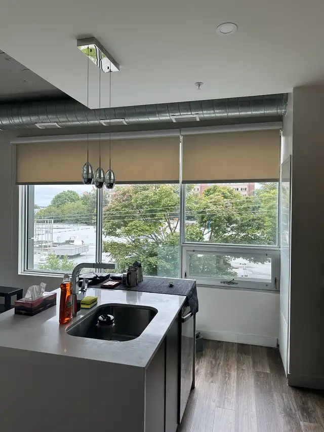 1 Bedroom apartment for rent in Long Term Rentals in City of Halifax - Image 4