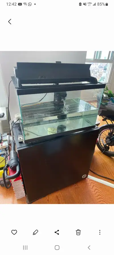 Aquarium （Fish Tank), View more