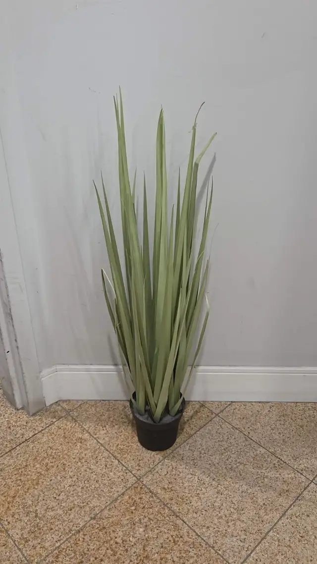 Faux Grass/Reed Decorative Plant in Pot (90 cm Tall) ✨