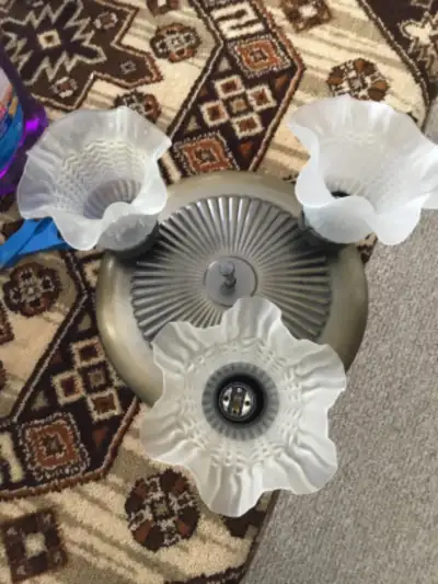 polished brass Ceiling  and wall lamp  with tulip style shades, View more