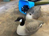 Goose Decoys & Lay Down Blind