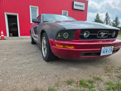 2006 Mustang coupe. 4.0L V6 engine automatic transmission. Gray outside and black leather interior....