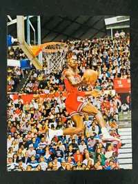 Michael Jordan Chicago Bulls 8x10 Photo