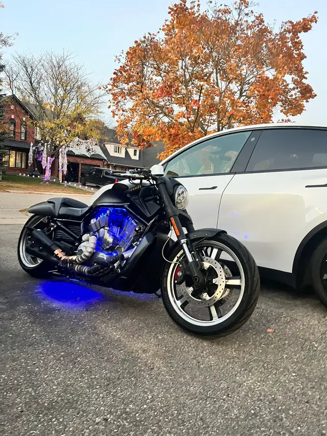 Harley Davidson V-rod Vrod muscle 2015 in Street, Cruisers & Choppers in Cambridge - Image 3