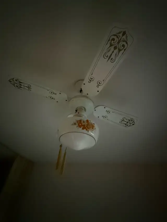 Ceiling Fan442863494523136001
