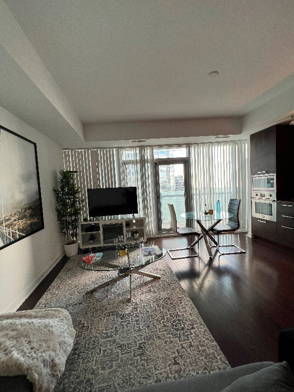 Downtown Lakeview Modern Condo in Ontario