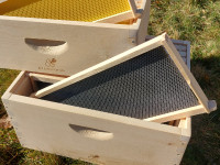 10 Assembled Beehive Frames with Foundation