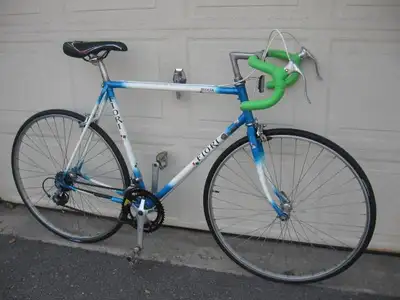 Large size Fiori Modena 12 Speed Road Bike, View more