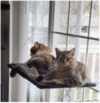 Cat Hammock Window Bed Cat Window Perch Sunny Seat