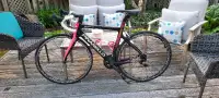Pinarello Road Bike (Women's)