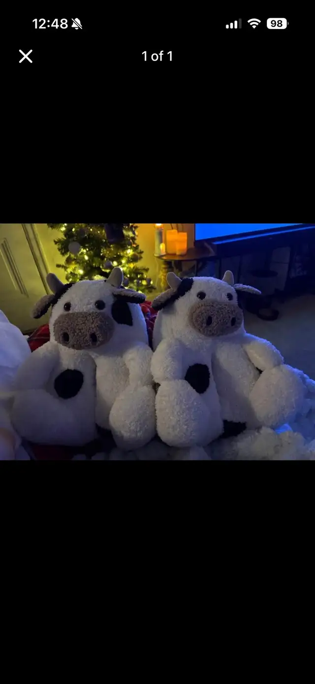 brand new cow slippers size 8 women’s 