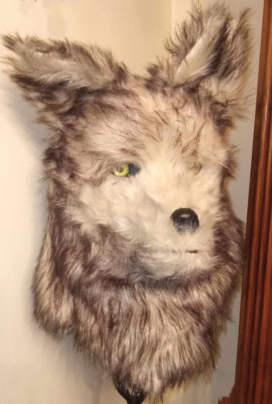 Halloween Cosplay Realistic Gray Wolf Mascot Costume Head Mask! in Costumes in London - Image 3