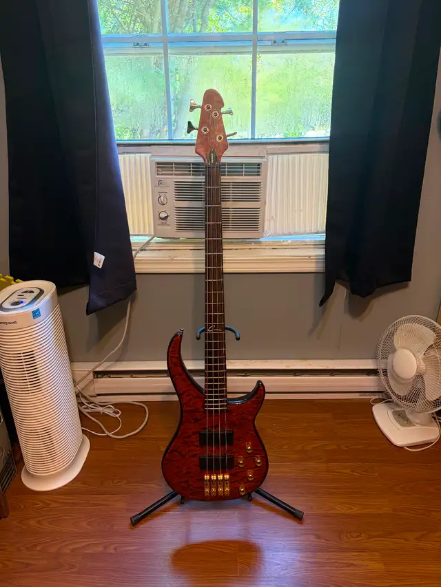 Bass player