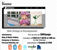 Professional WebSite Design & Development