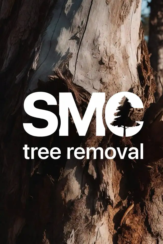 Tree removal arborist tree permits stump grinding tree trimming in Lawn, Tree Maintenance & Eavestrough in City of Toronto - Image 2
