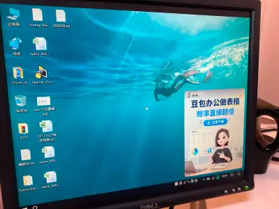 Dell UltraSharp 1905FP 19" Monitor / Moniteur VGA, View more