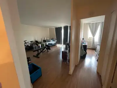 Grand et ensoleillé 3.5 à Saint-Laurent