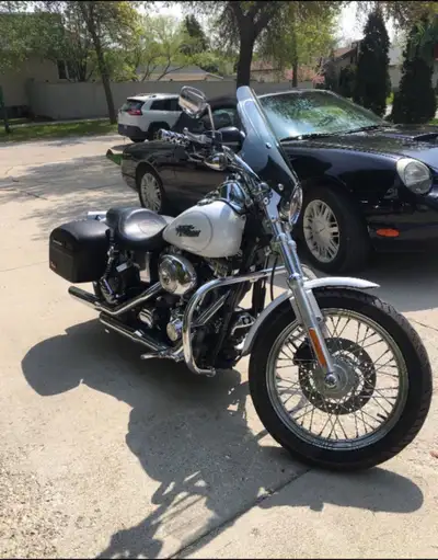 2004 Harley-Davidson Dyna Low Rider (FXDL) — Pearl White Clean, well-cared-for Twin Cam 88 (1450cc)...