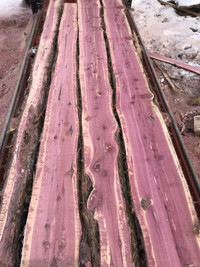 Live edge red cedar for sale kiln dried