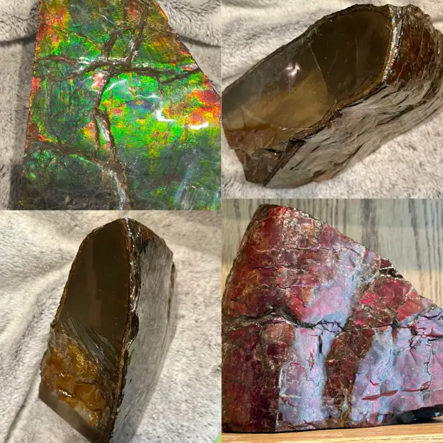huge ammonite/ammolite display in Arts & Collectibles in Lethbridge - Image 9
