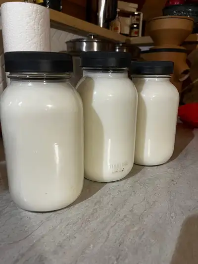 ISO: Family Milk Cow, View more