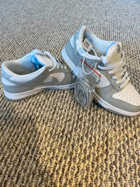 Nike dunk shoes (fakes)
