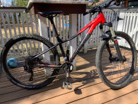 Norco Mountain Bike