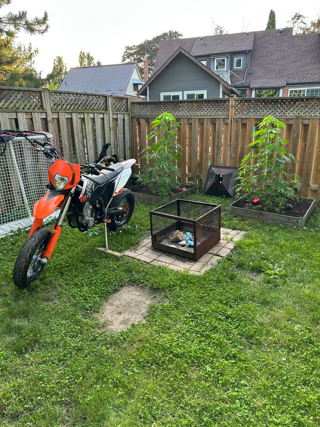 2009 Ktm exc 530 in Dirt Bikes & Motocross in Kitchener / Waterloo