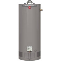 Rheem or Bradford Whit Water heaters with Install 