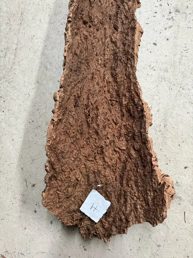 Écorce d’arbre 25 pouces de long par 9 et 5 pouces de largeur in Puerto Rico in Canada - Image 7