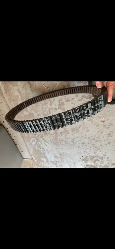 Drive belt 321148