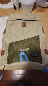 PATAGONIA TOROMIRO 22L PACK (Laptop or travel bag)