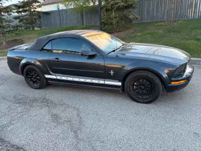 Turn key vehicle!! Oil changed and ready for you to enjoy. Babied 2008 Ford Mustang Convertible. Nev...