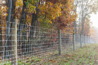 Farm fencing