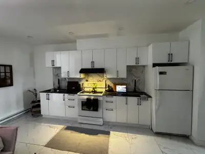 4 1/2 appartement Rénové à louer Plateau-Mont-Royal
