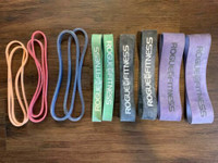 Rogue Shorty Monster Bands