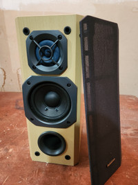 Panasonic Speaker System 