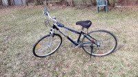 Miele Hybrid bicycle 700c wheel size