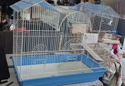 Birds cage, View more
