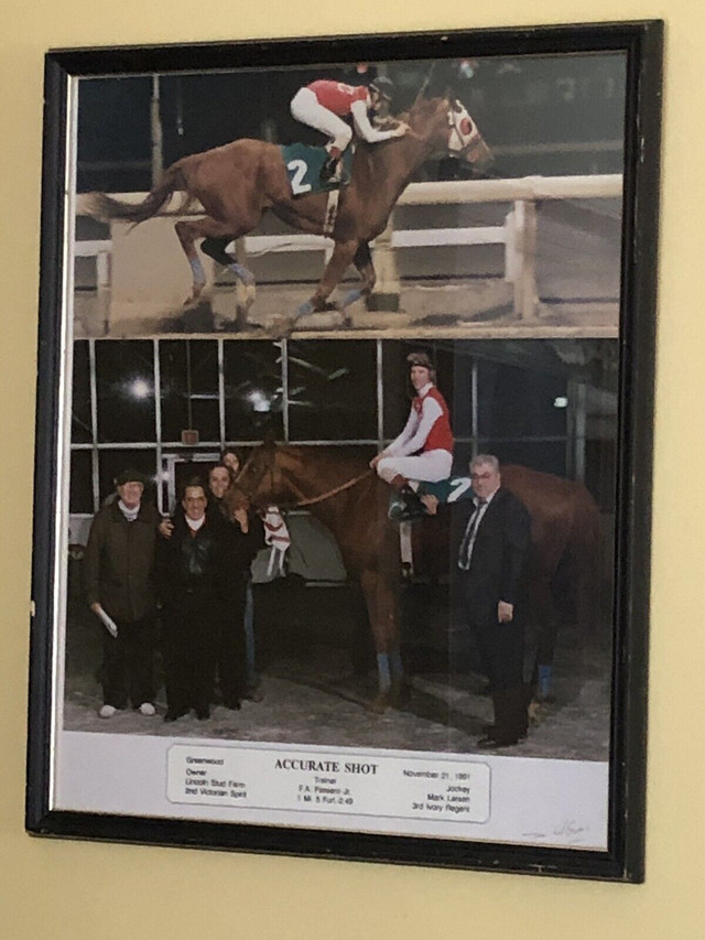 Thoroughbred horse racing memorabilia in Equestrian & Livestock Accessories in City of Toronto