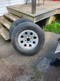 Road venture tires