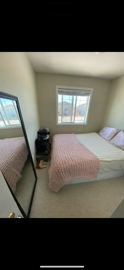 looking for a roommate
