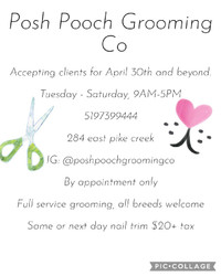 Dog groomer taking clients!