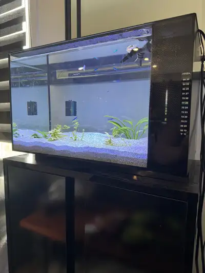 Aquarium Fluval Sea EVO 13,5 gallons + meuble Tout équipé, clé en main Excellent état, moins d’un an...