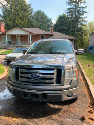 2010 Ford F 150 XLT RWD