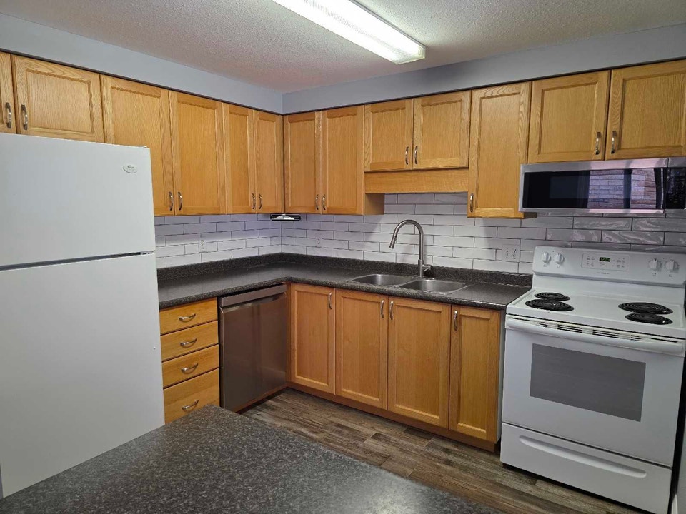 House for Rent 5