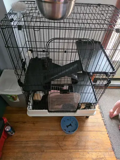 gunia pigs and cage , View more